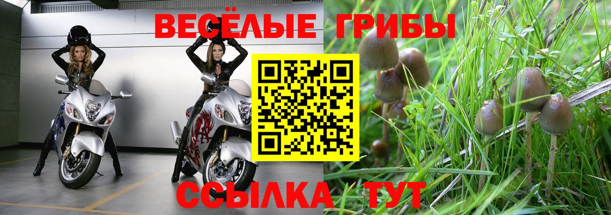 Псилоцибиновые грибы GOLDEN TEACHER  Псилоцибиновые грибы ЛСД  Вход с VPN  Александров 